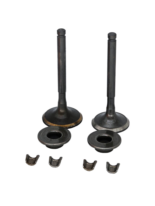Valve Replacement Kit